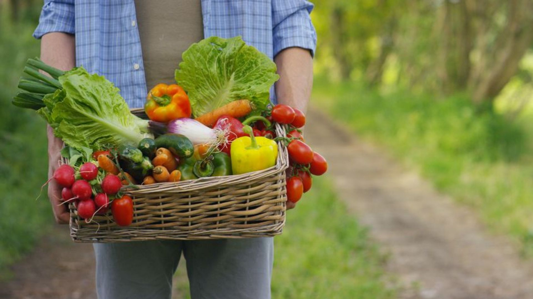 Может ли употребление органических продуктов защитить нас от рака