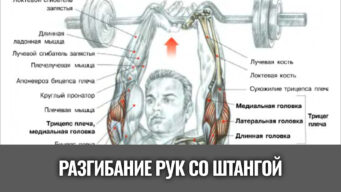 разгибание-рук-с-изогнутым-грифом-штанги-из-за-головы