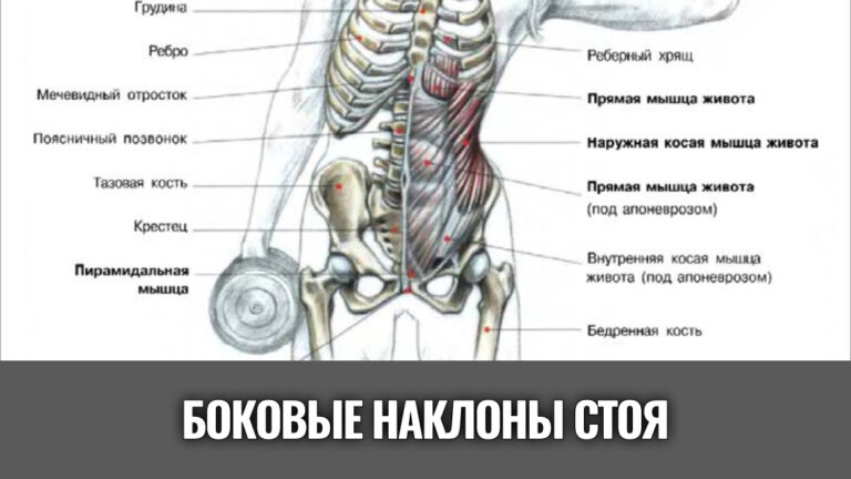 боковые-наклоны-стоя