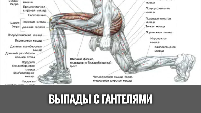 выпады-с-гантелями