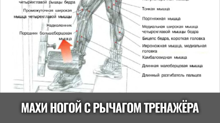 махи-ногой-в-сторону-с-рычагом-тренажера