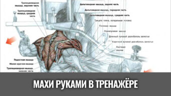 махи-руками-назад-с-рукоятками-тренажера