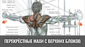 перекрестные-махи-руками-назад-с-верхних-блоков