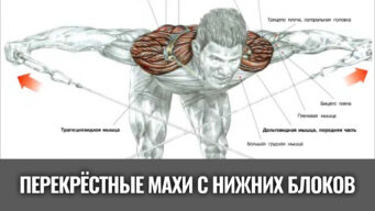 перекрестные-махи-руками-назад-с-нижних-блоков-в-наклоне