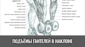 подъемы-гантелей-в-стороны-в-наклоне-вперед