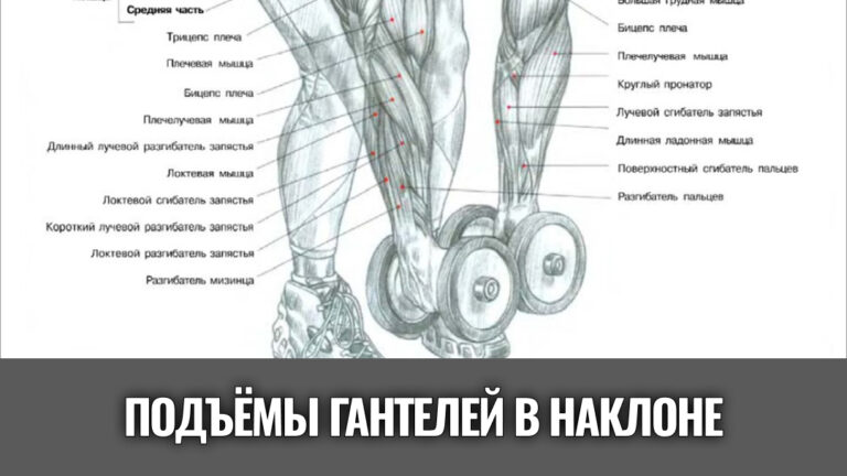 подъемы-гантелей-в-стороны-в-наклоне-вперед