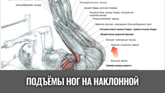подъемы-ног-на-наклонной-скамье