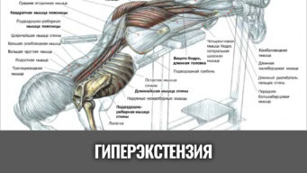 поясничные-прогибания