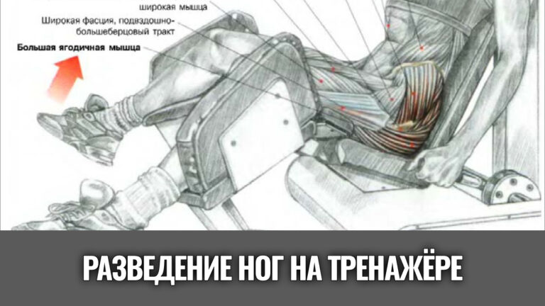 разведение-ног-на-тренажере