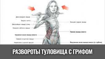 развороты-туловища-с-грифом