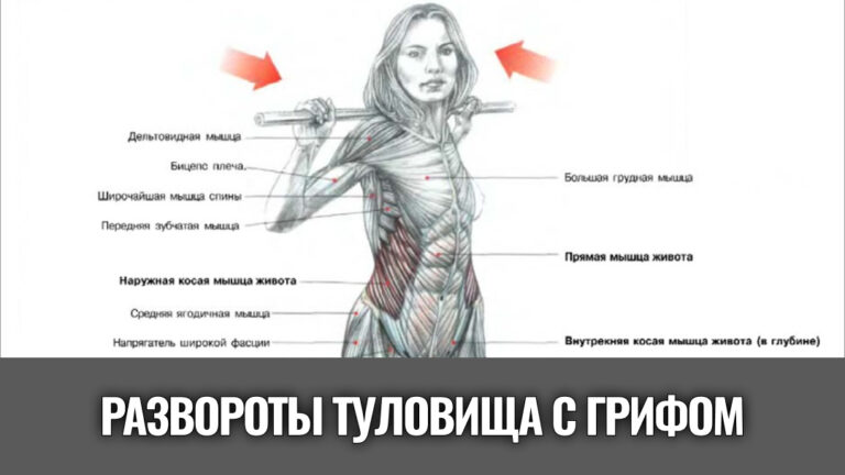 развороты-туловища-с-грифом