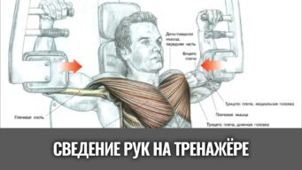 сведение-рук-на-тренажере