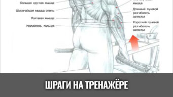 шраги-на-тренажере